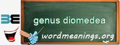 WordMeaning blackboard for genus diomedea